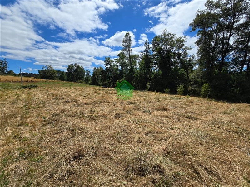 Parcela en venta en Valdivia — foto 6