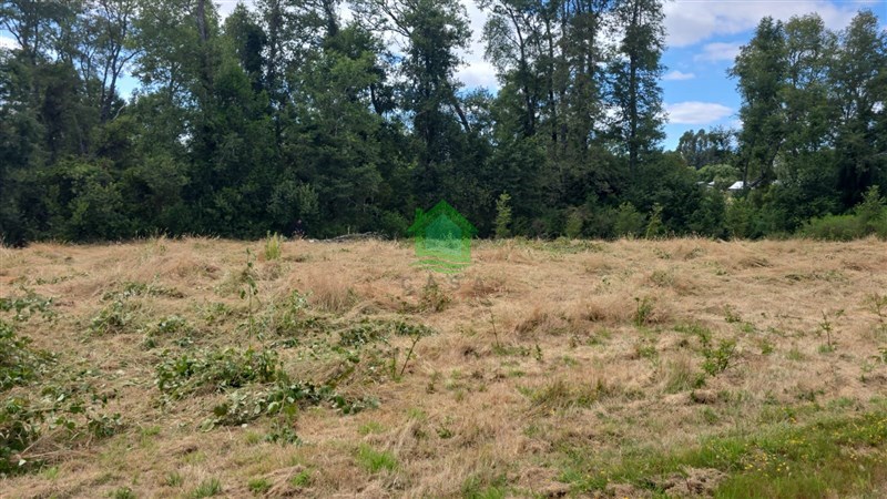 Parcela en venta en Valdivia — foto 10