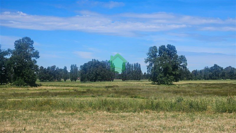 Parcela en venta en Osorno — foto 5