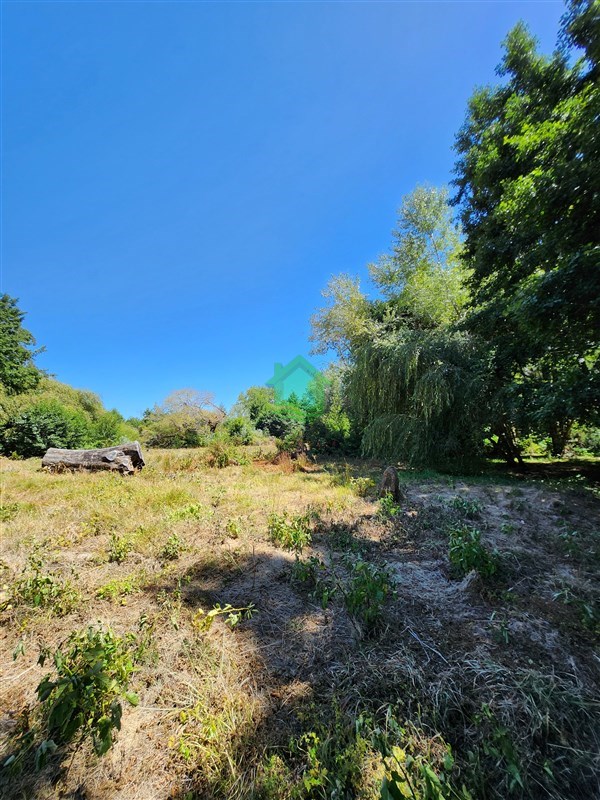 Parcela en venta en Valdivia — foto 5