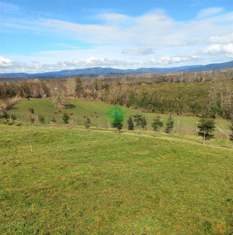 Parcela en venta en Fresia — foto 2