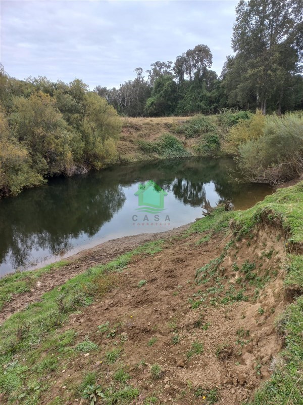 Parcela en venta en Fresia — foto 10