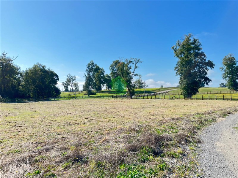 Terreno en venta en Osorno — foto 9