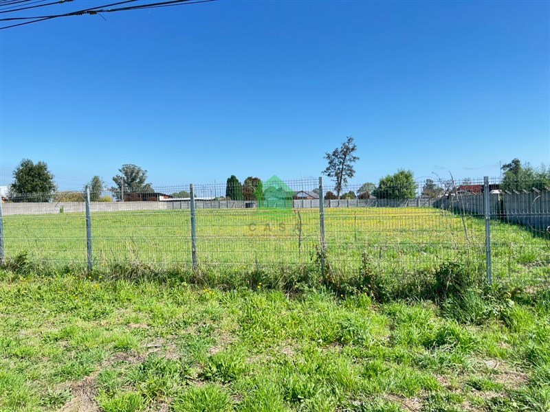 Terreno en arriendo en Osorno — foto 2