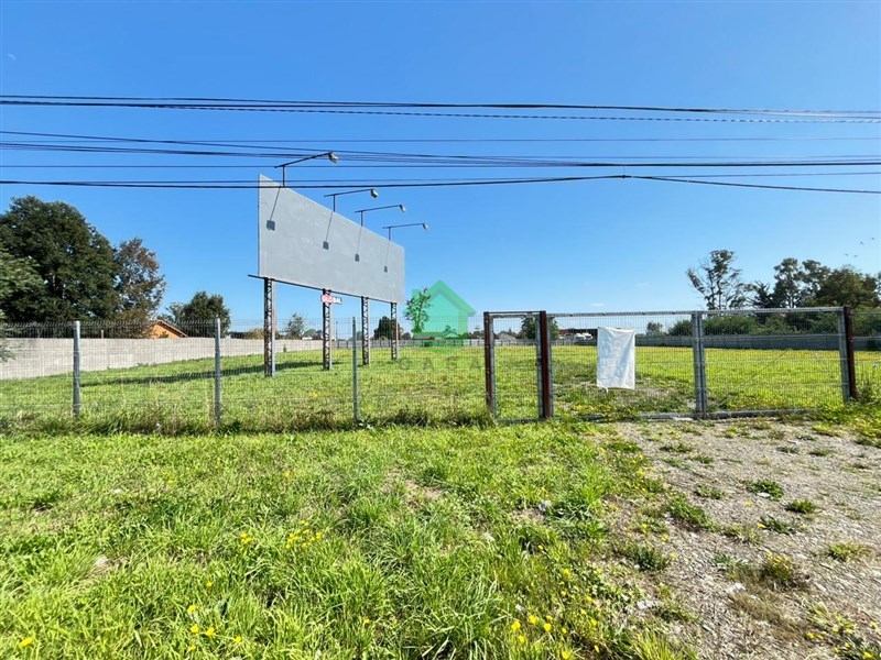 Terreno en arriendo en Osorno — foto 5