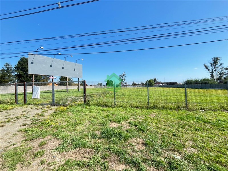 Terreno en arriendo en Osorno — foto 6