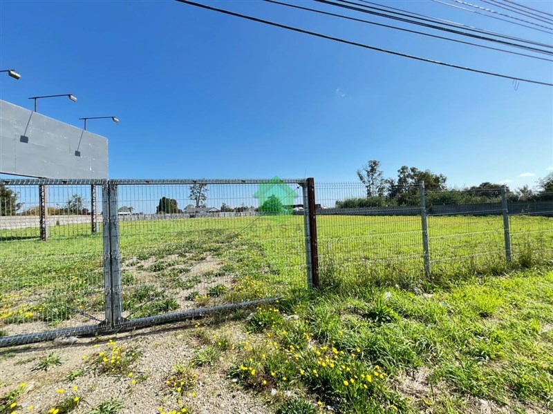 Terreno en arriendo en Osorno — foto 7