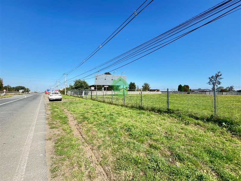 Terreno en arriendo en Osorno — foto 9