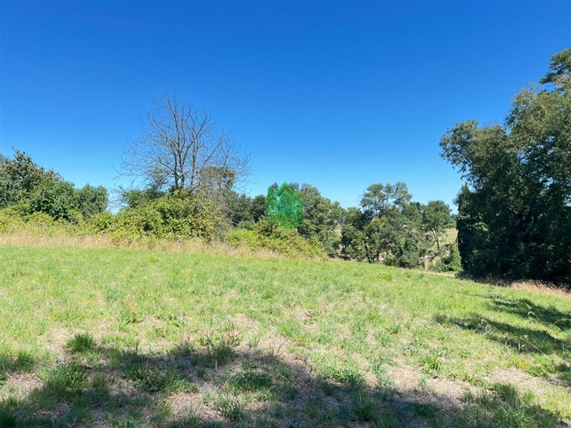 Terreno en venta en Osorno — foto 5