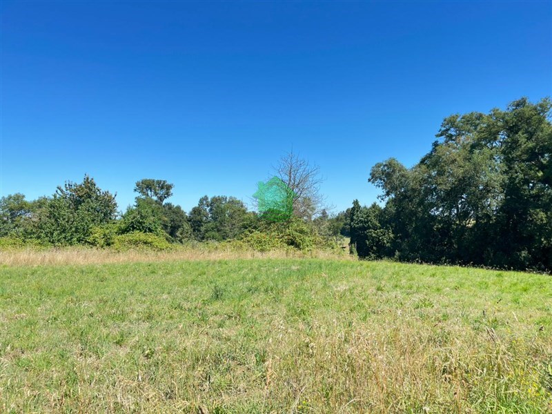 Terreno en venta en Osorno — foto 8