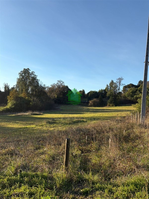 Terreno en venta en Osorno — foto 3