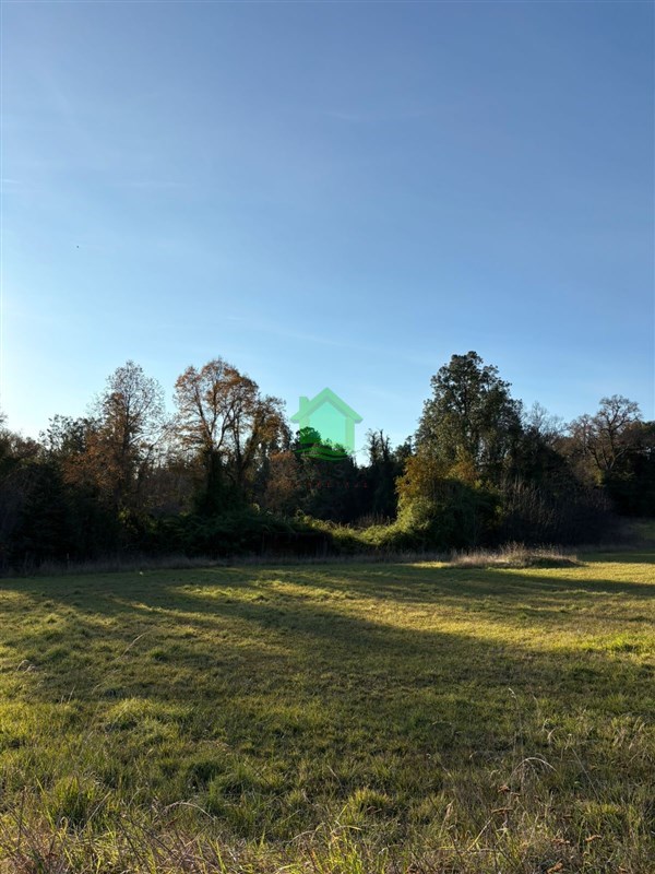 Terreno en venta en Osorno — foto 7