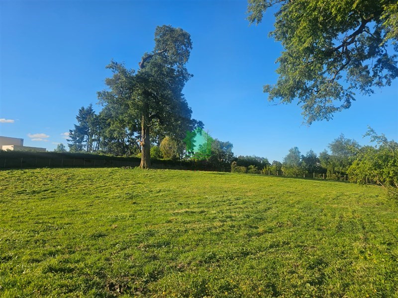 Terreno en venta en Osorno — foto 4