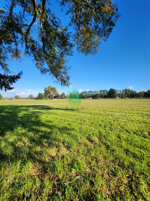 Parcela en venta en Mariquina — foto 5