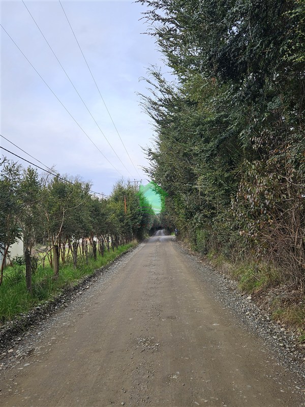 Casa en venta en Valdivia — foto 4
