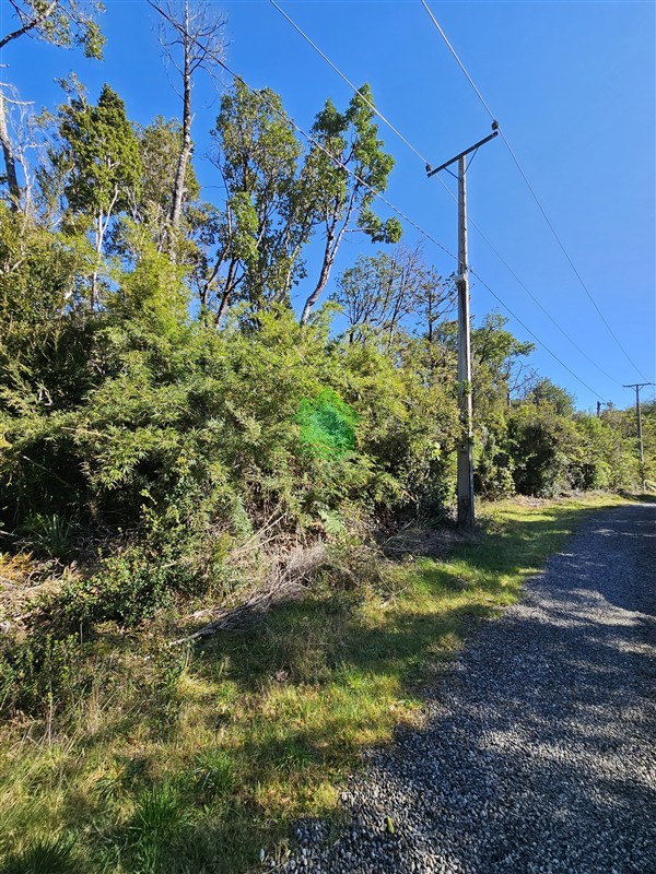 Parcela en venta en Valdivia — foto 4