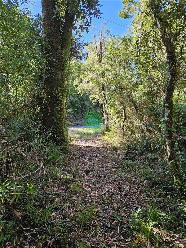 Parcela en venta en Valdivia — foto 7