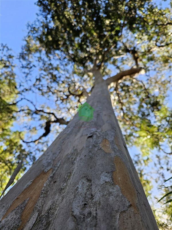 Parcela en venta en Valdivia — foto 8