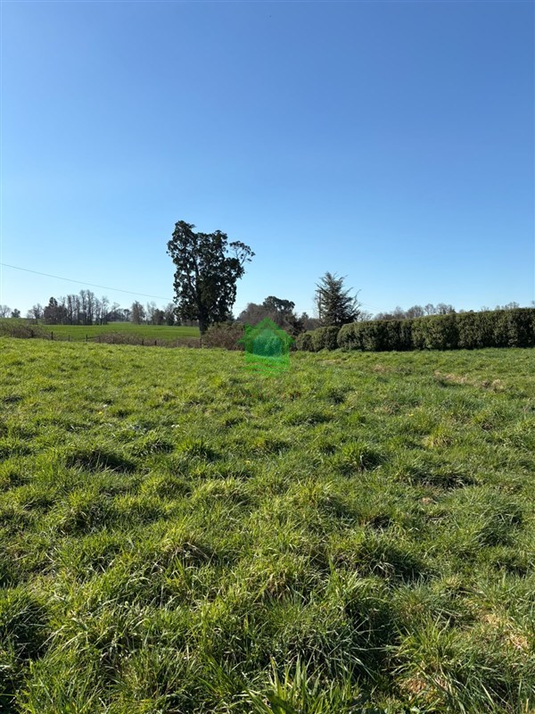 Parcela en venta en Osorno — foto 9