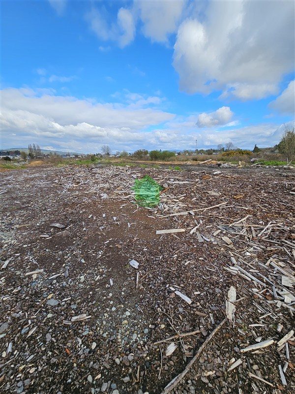 Terreno en venta en Valdivia — foto 3