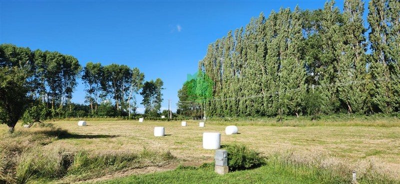 Parcela en venta en Osorno — foto 4