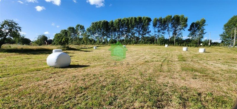 Parcela en venta en Osorno — foto 5