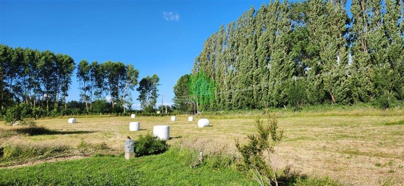 Parcela en venta en Osorno — foto 7