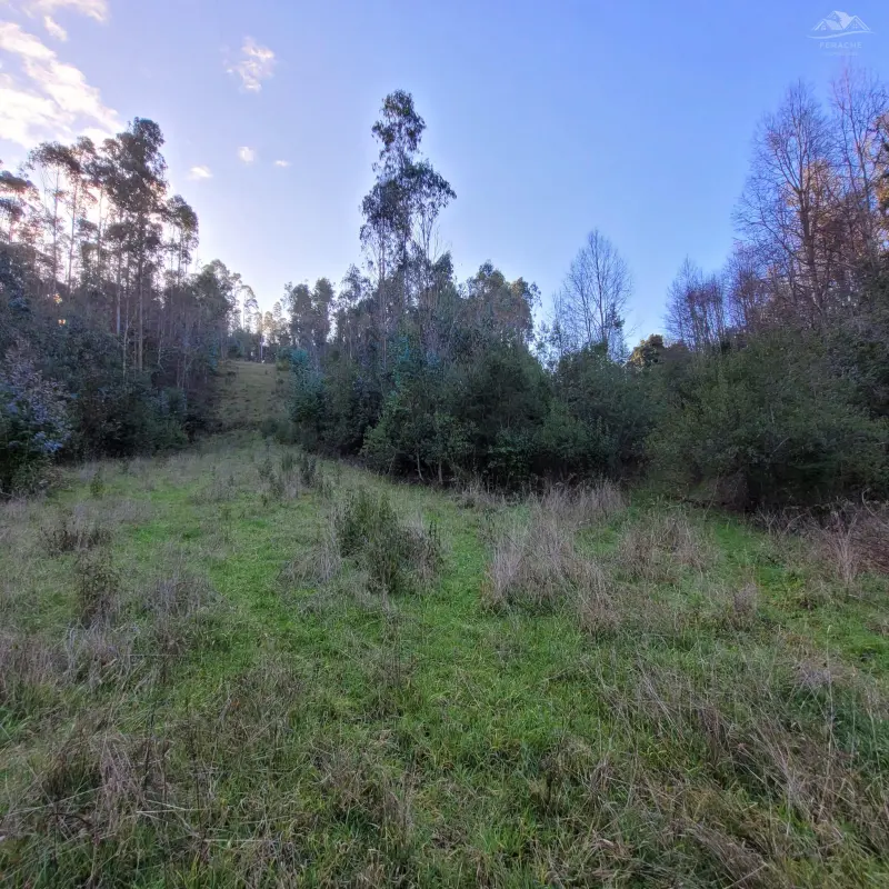Terreno en venta en La Unión — foto 1