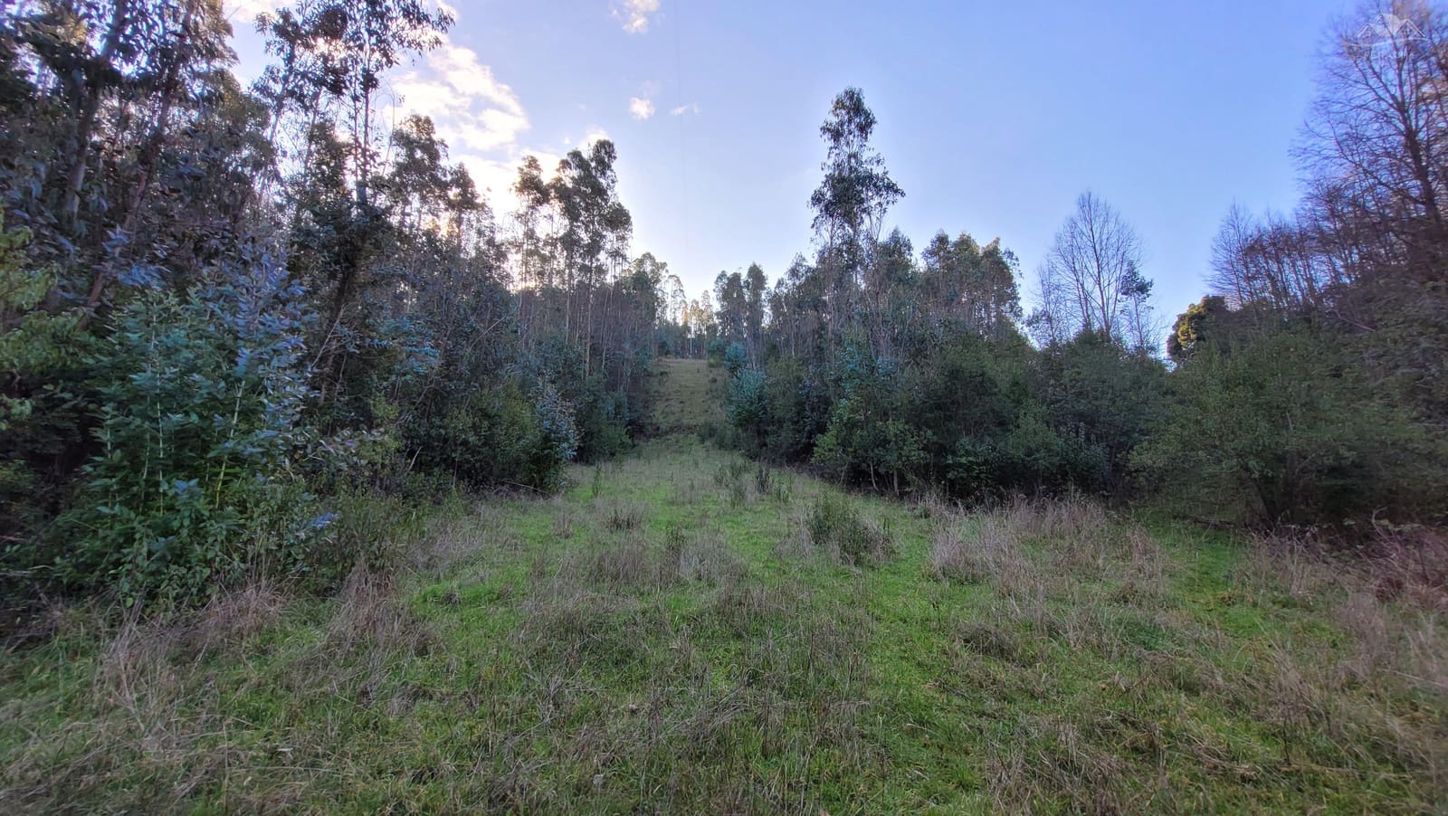 Terreno en venta en La Unión — foto 3