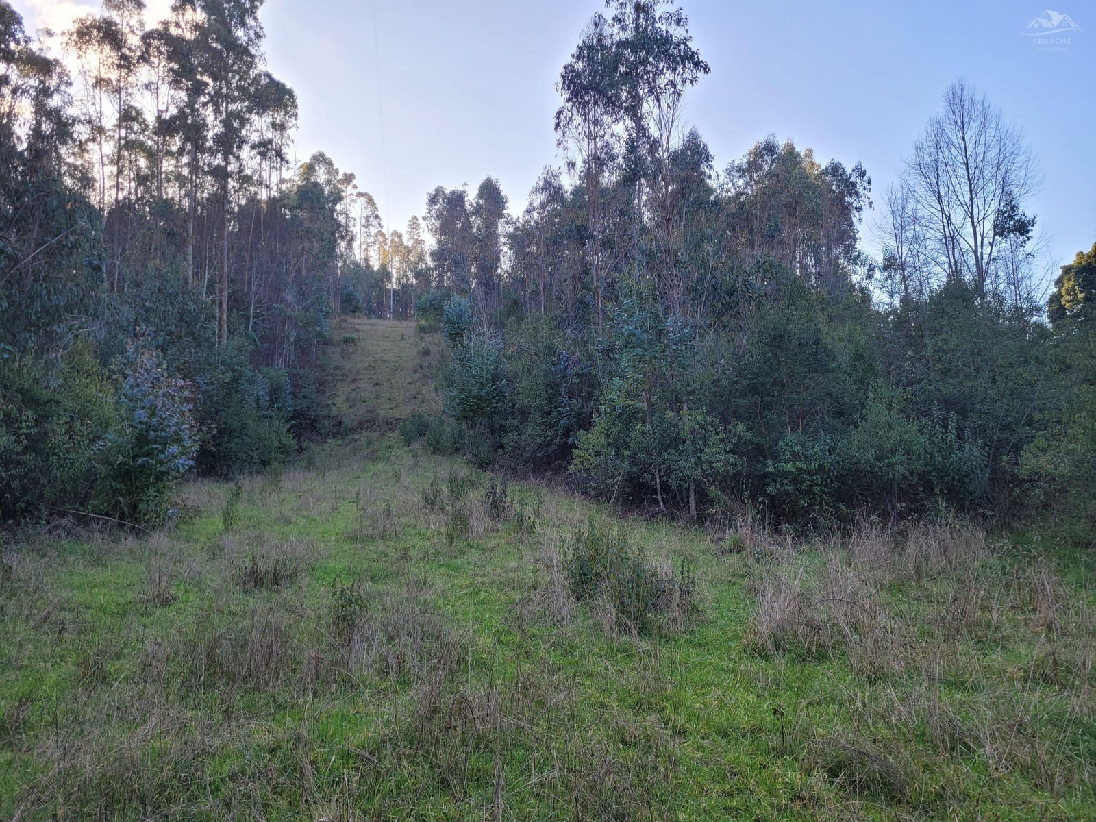 Terreno en venta en La Unión — foto 4