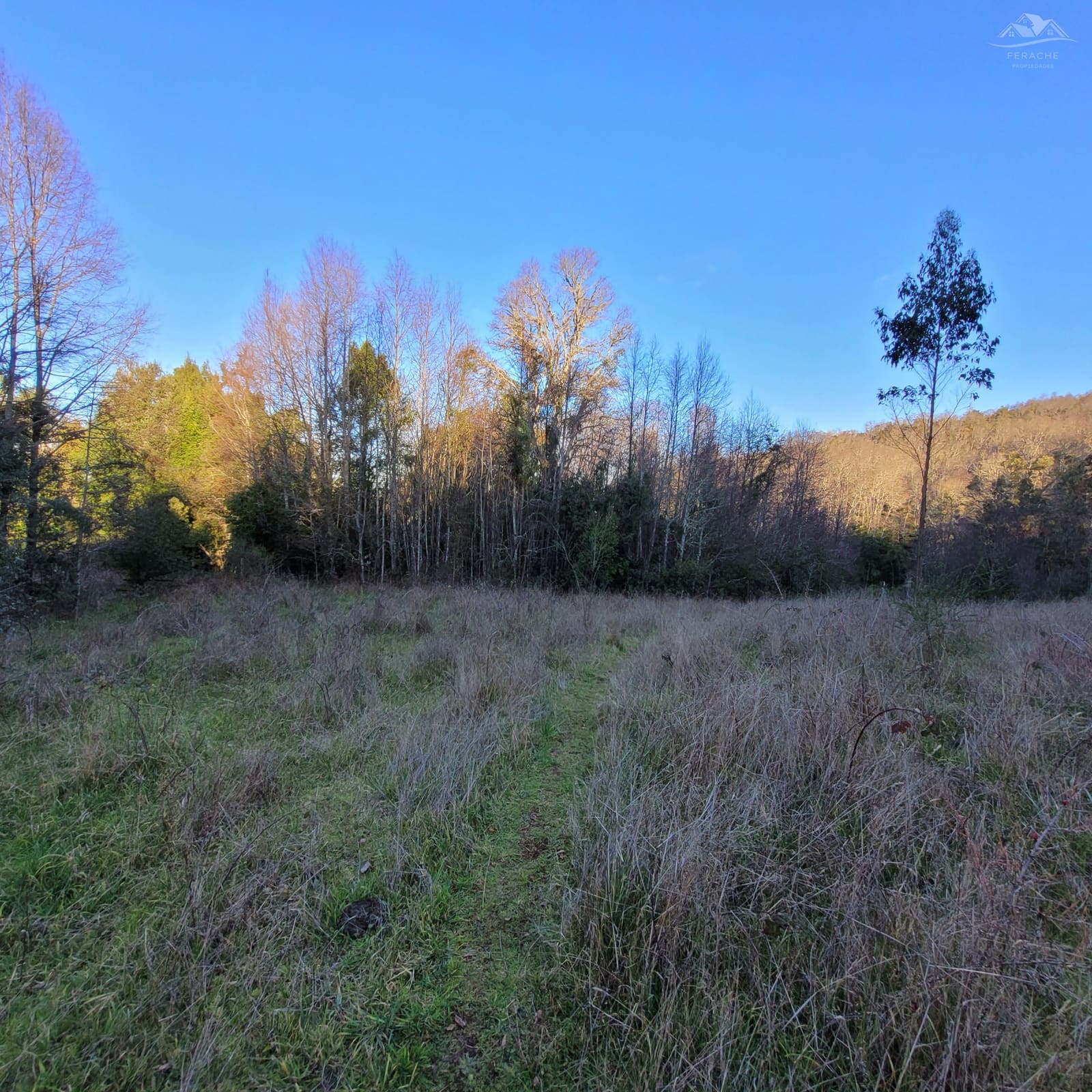 Terreno en venta en La Unión — foto 5