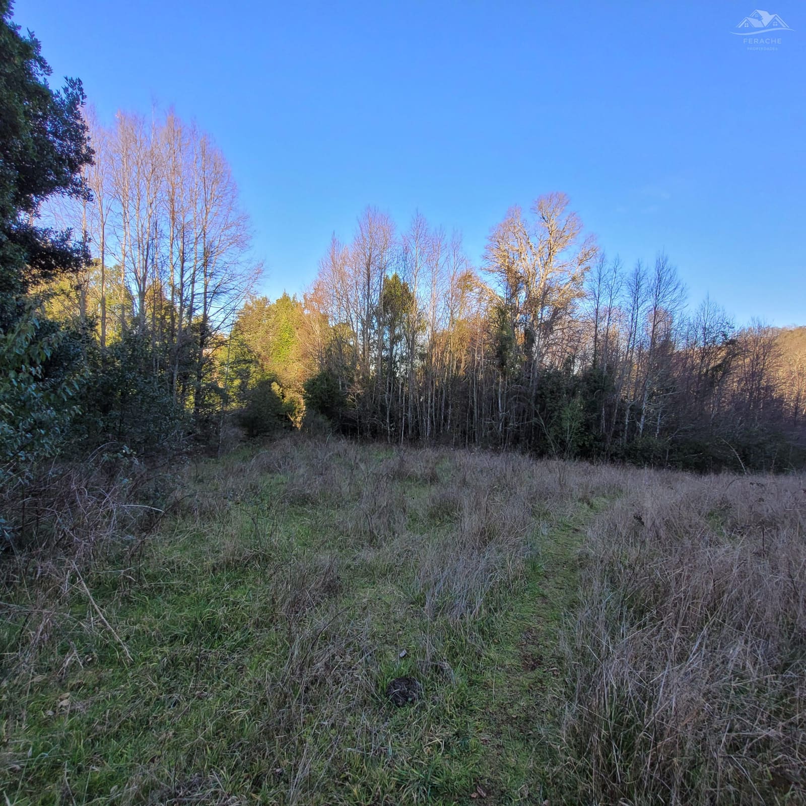 Terreno en venta en La Unión — foto 6