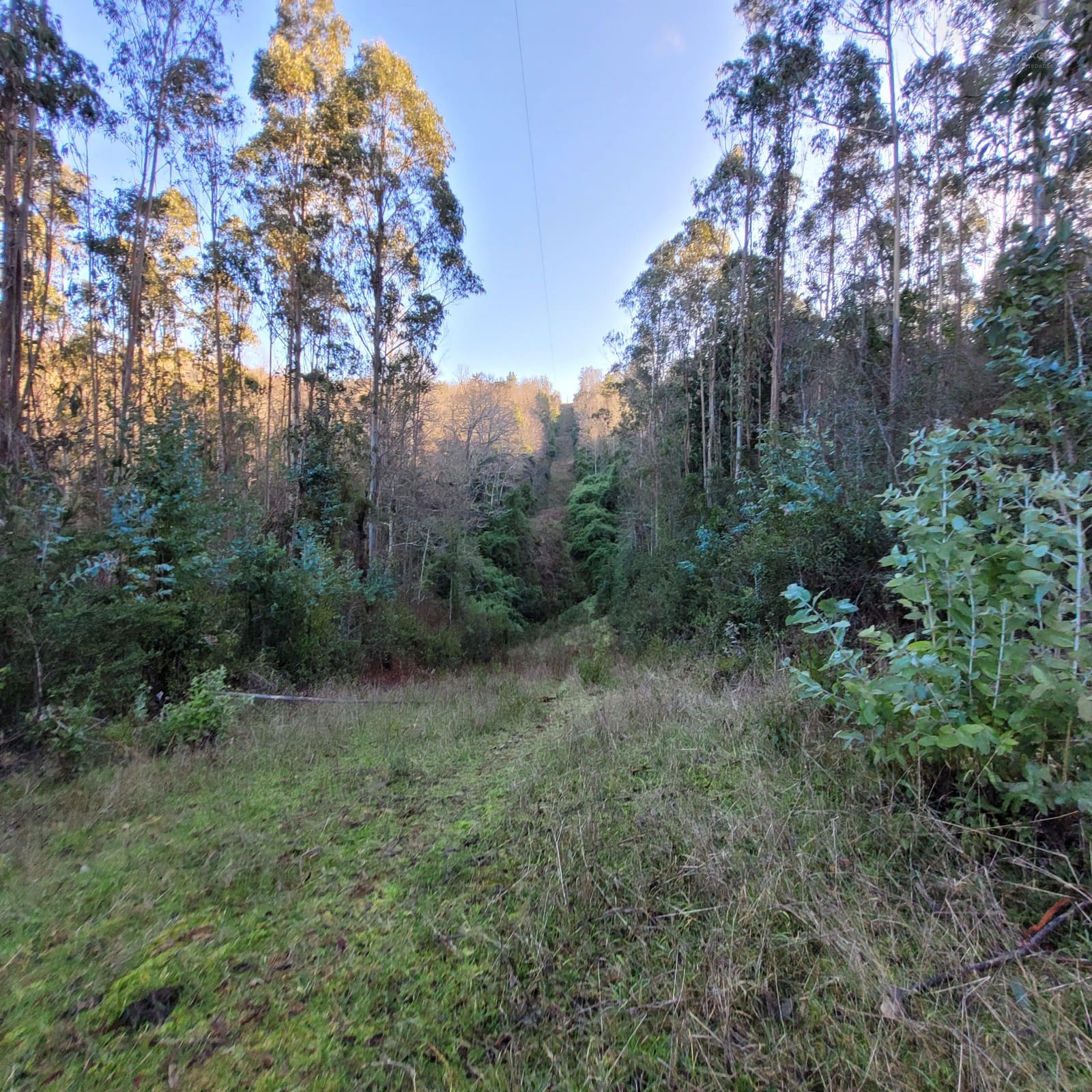 Terreno en venta en La Unión — foto 7