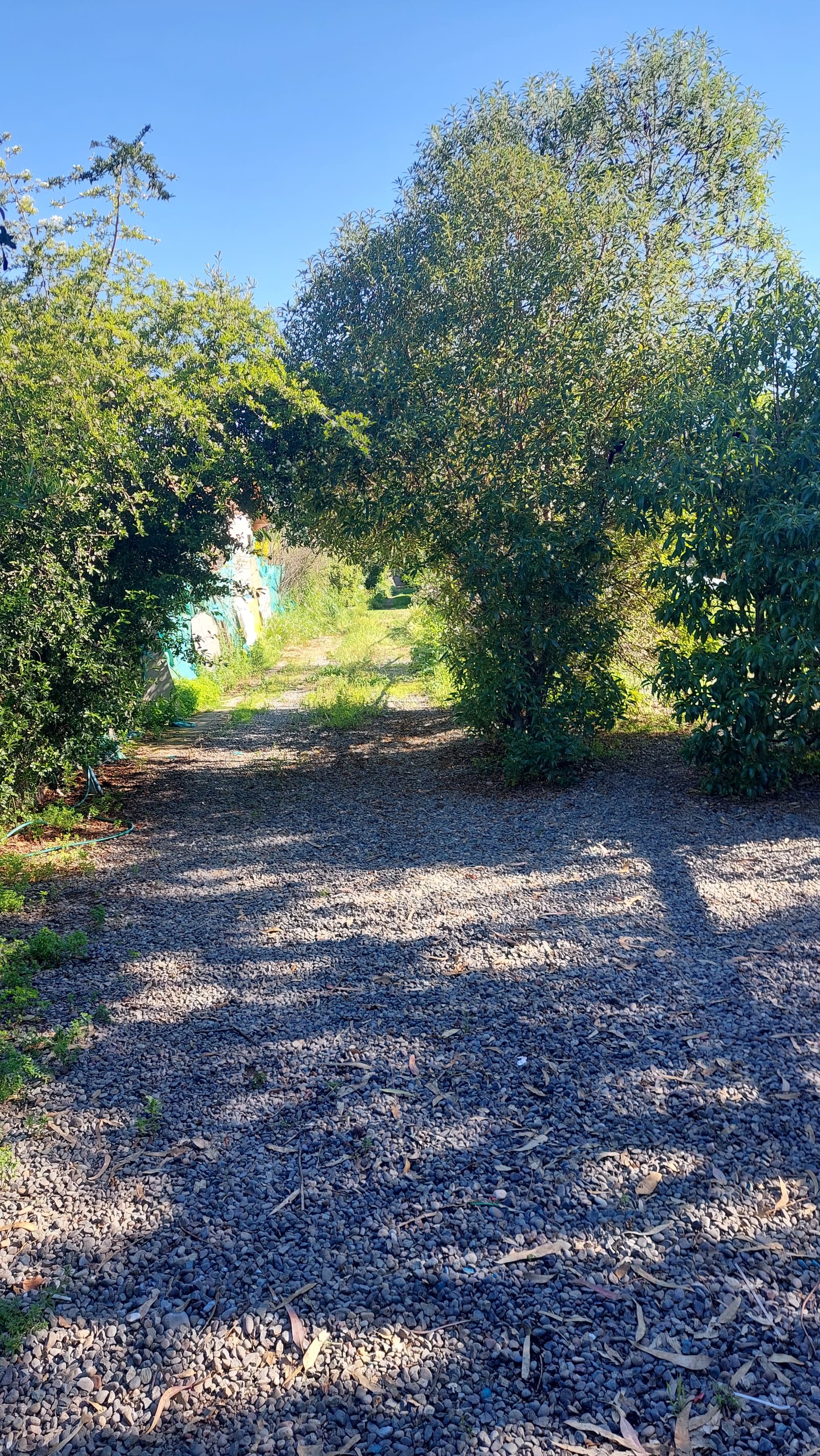 Terreno en venta en Peñaflor — foto 2