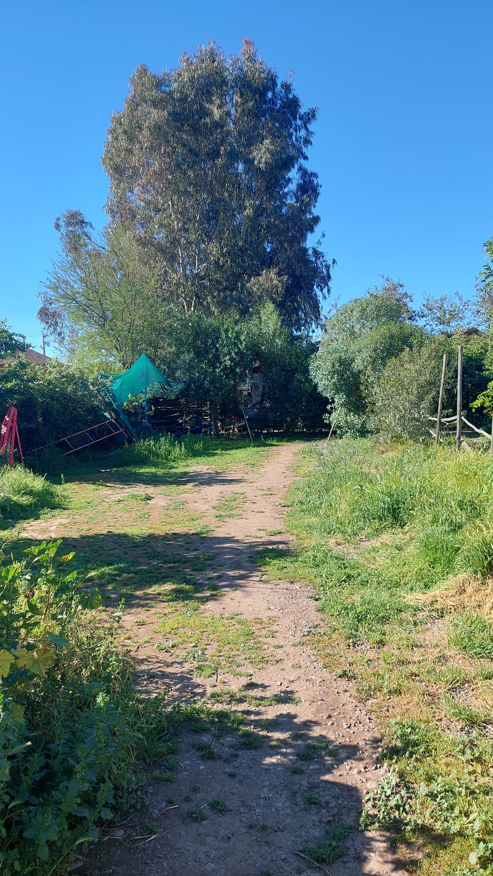 Terreno en venta en Peñaflor — foto 4