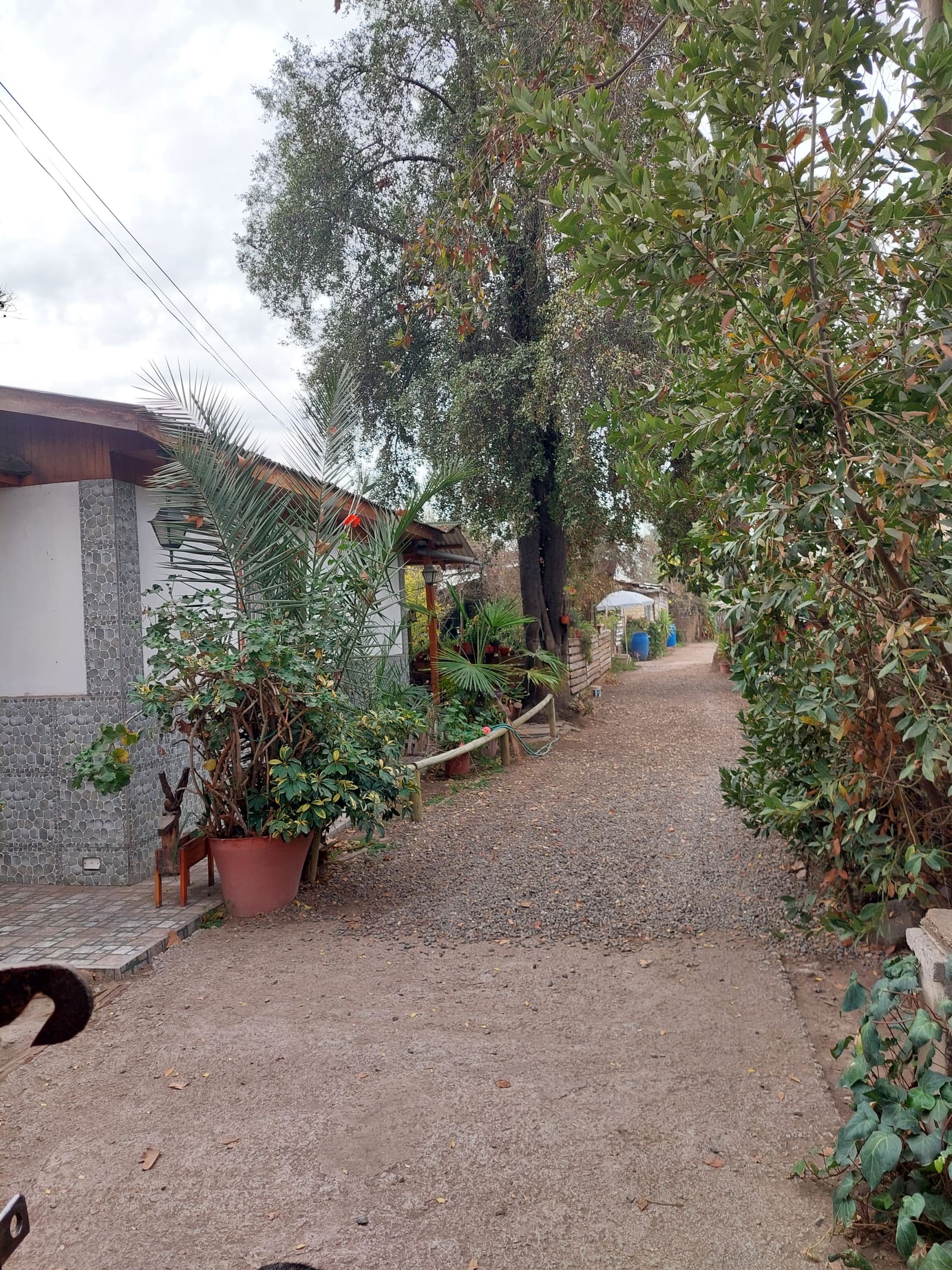 Terreno en venta en Peñaflor — foto 6