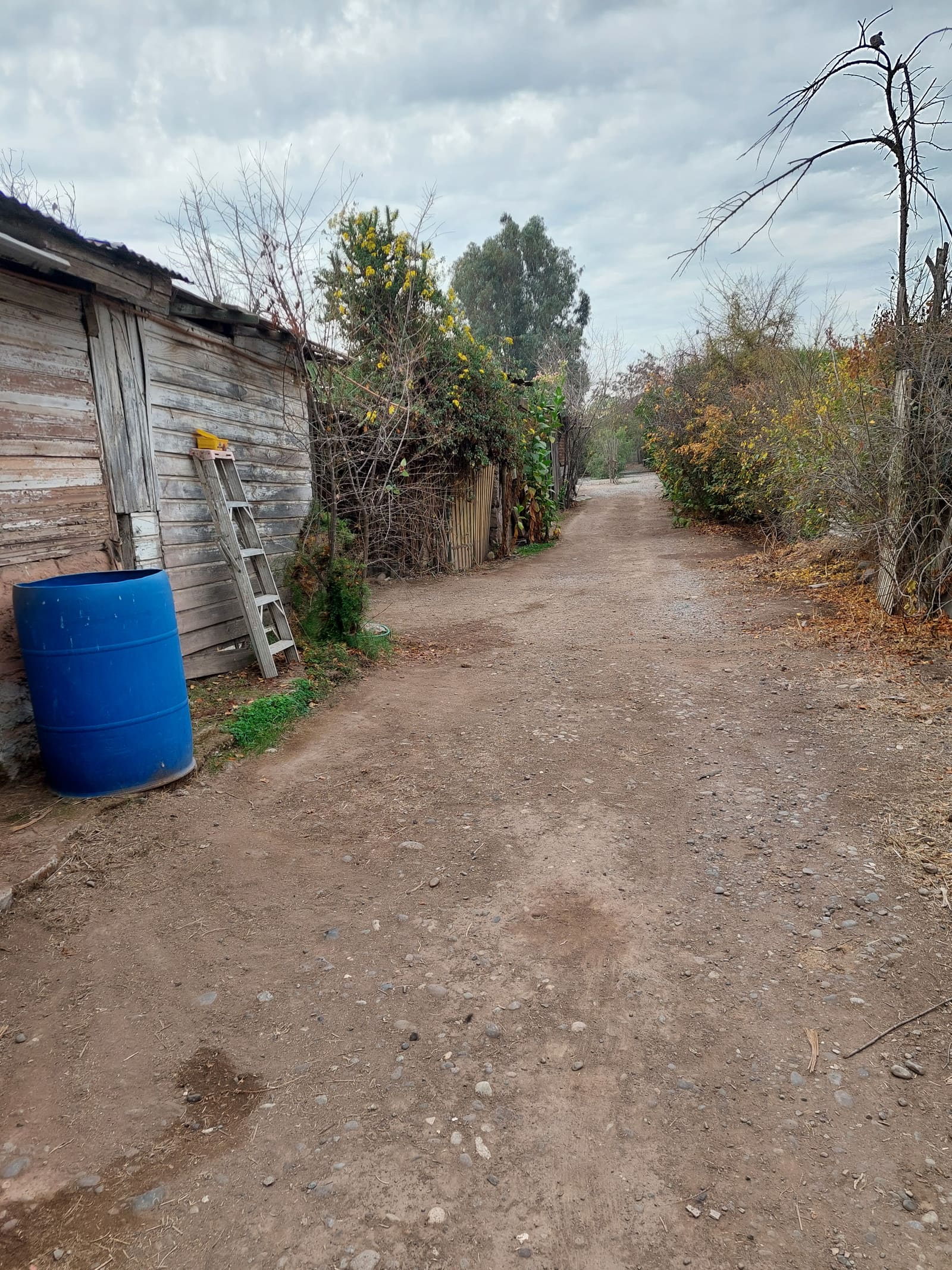 Terreno en venta en Peñaflor — foto 7