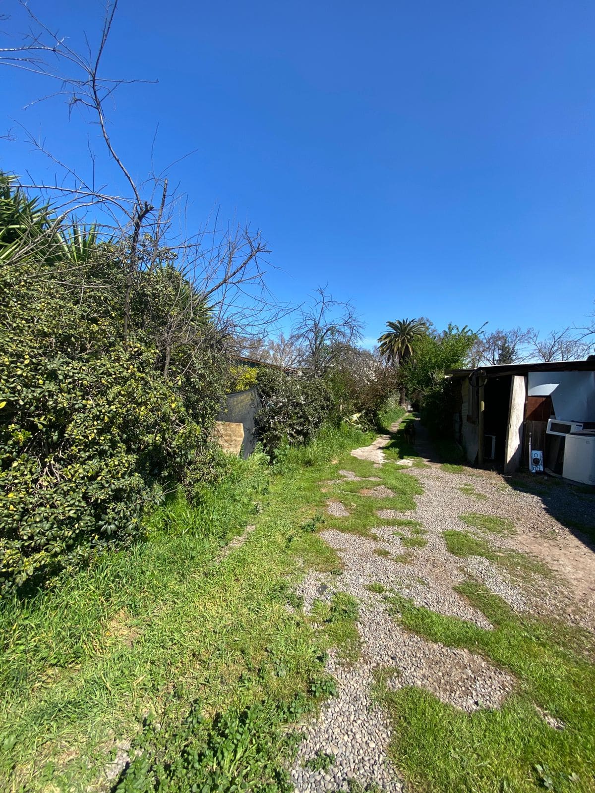 Terreno en venta en Peñaflor — foto 8