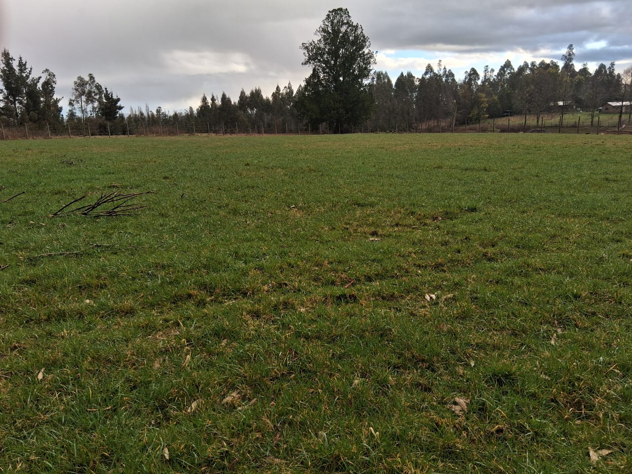 Parcela en venta en Pitrufquén — foto 2