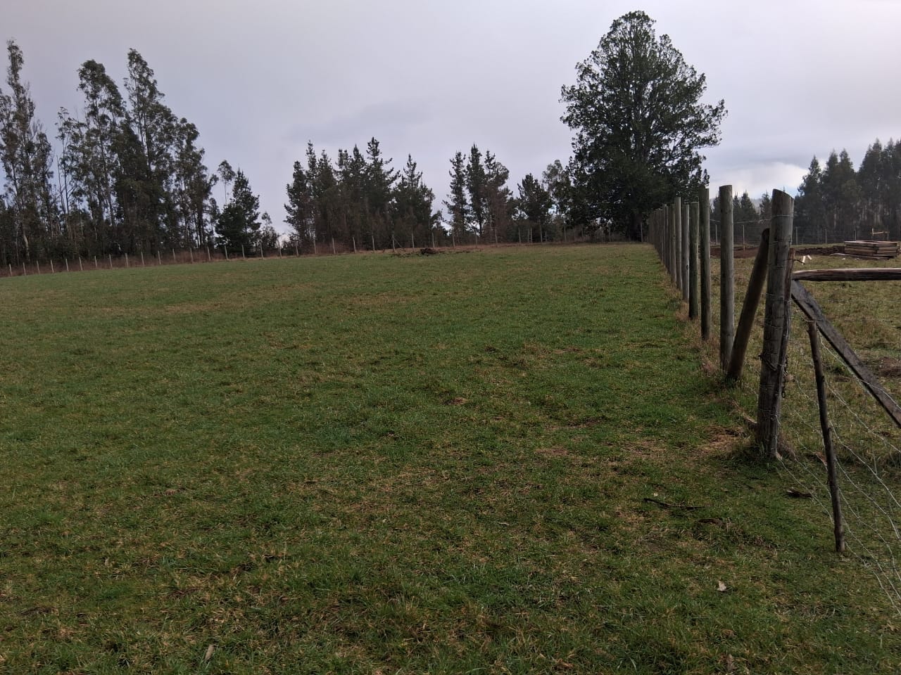 Parcela en venta en Pitrufquén — foto 3