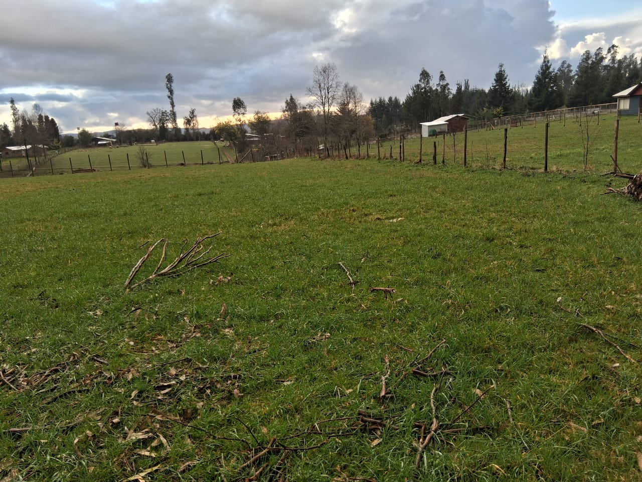Parcela en venta en Pitrufquén — foto 5