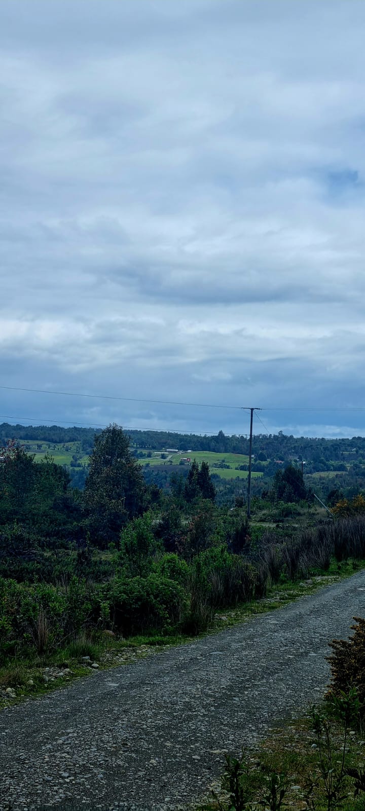 Parcela en venta en Puerto Montt — foto 4