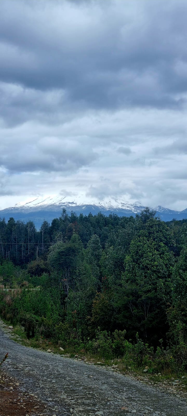 Parcela en venta en Puerto Montt — foto 6