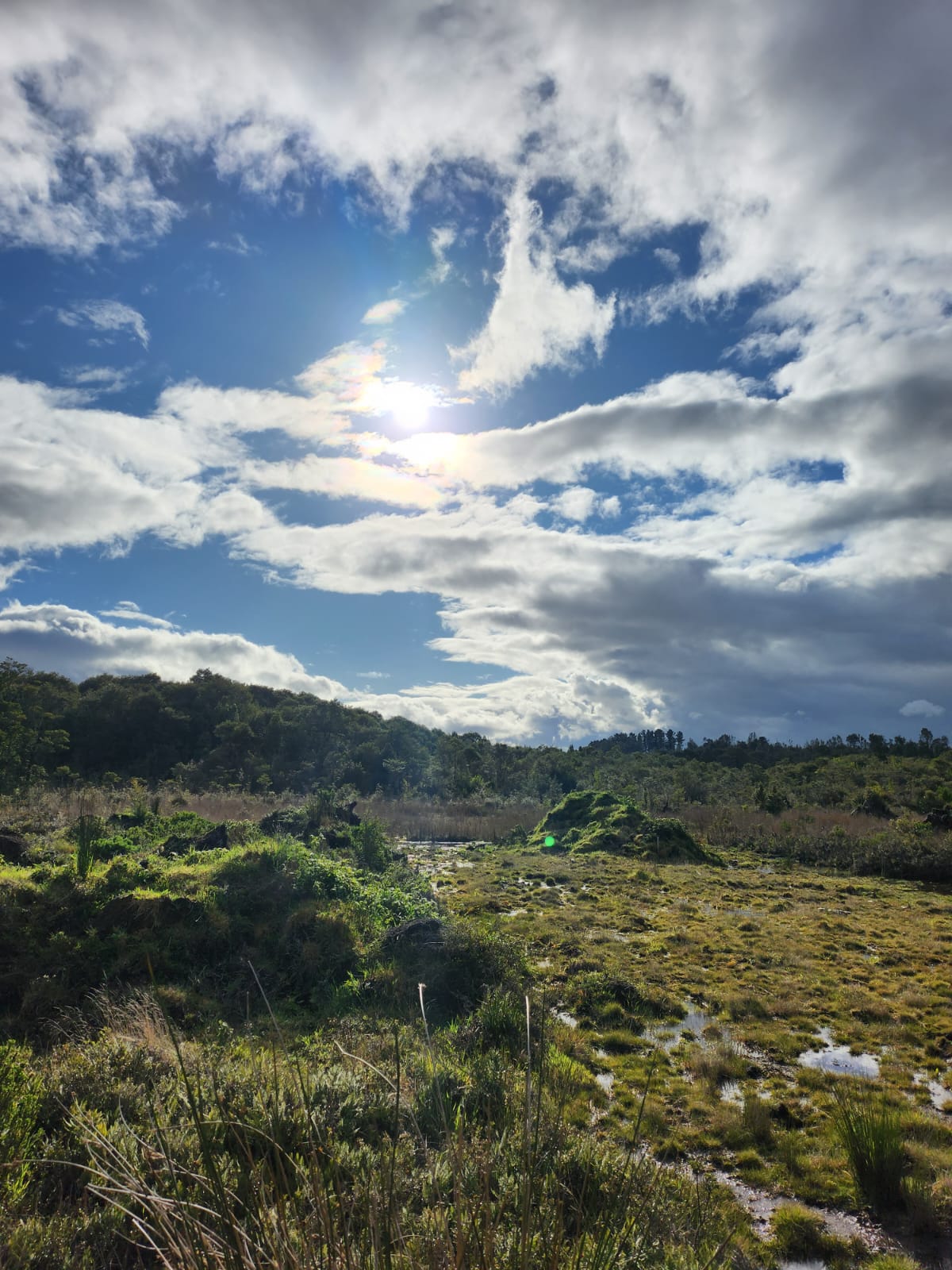 Parcela en venta en Puerto Montt — foto 8