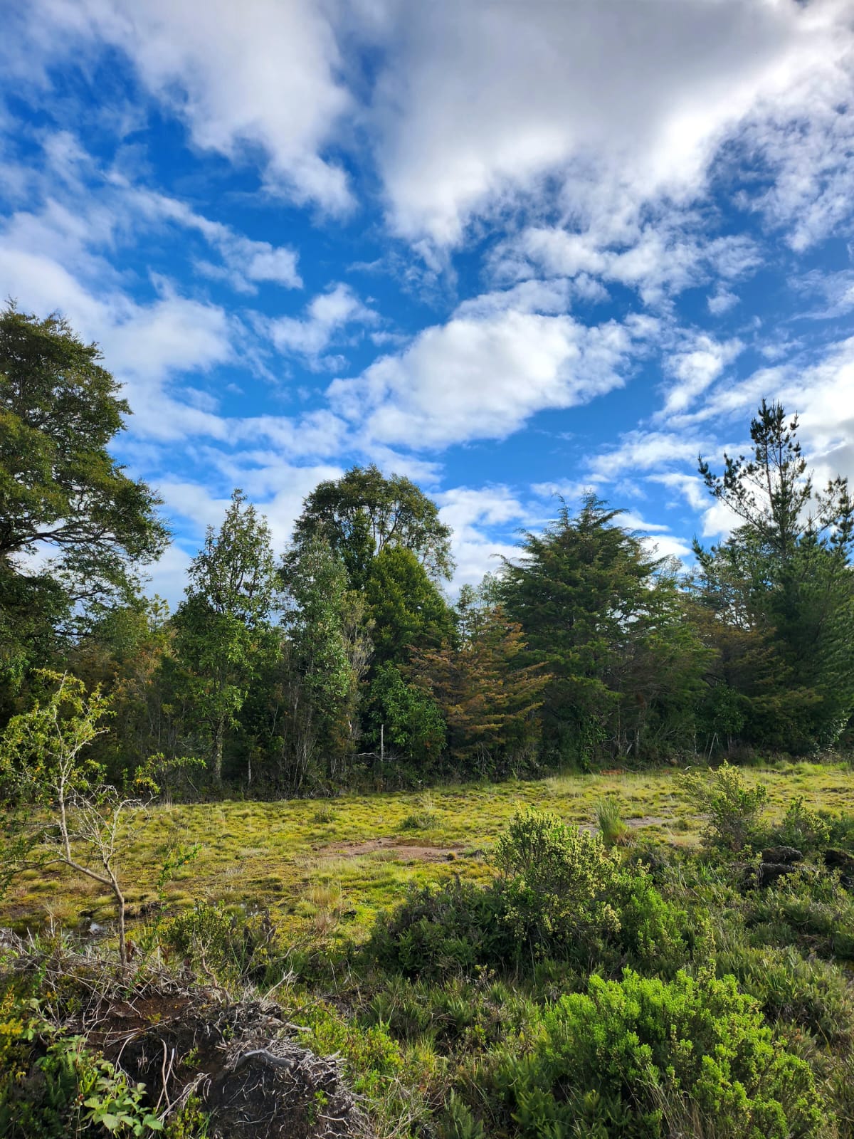Parcela en venta en Puerto Montt — foto 9