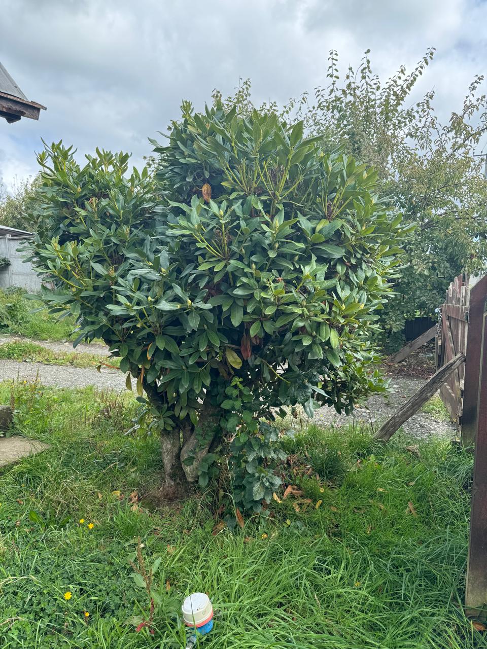 Casa en venta en Frutillar — foto 7