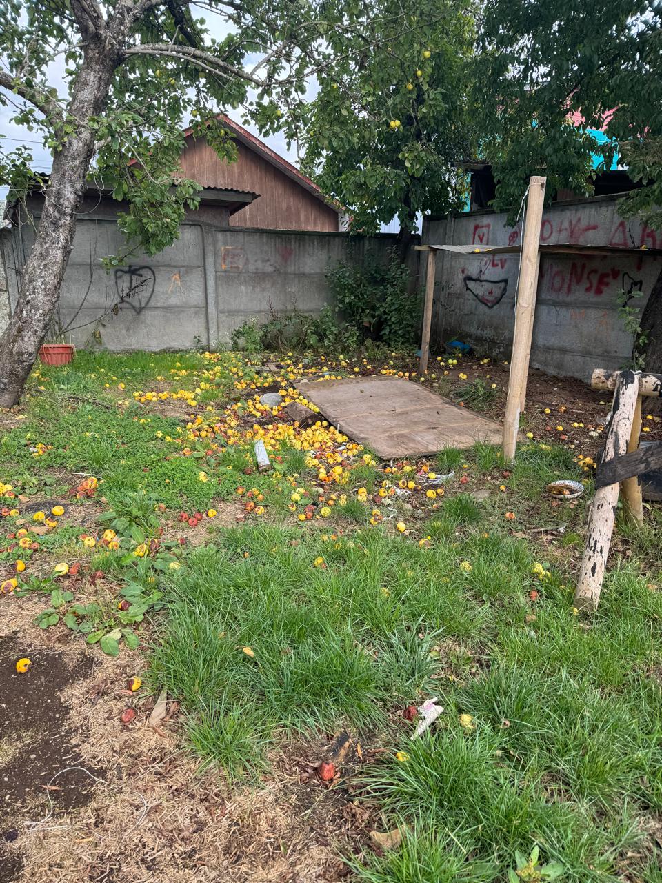 Casa en venta en Frutillar — foto 10
