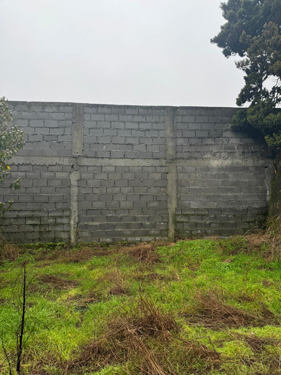 Casa en venta en Los Muermos — foto 2