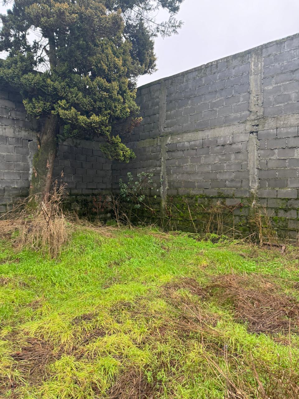 Casa en venta en Los Muermos — foto 3