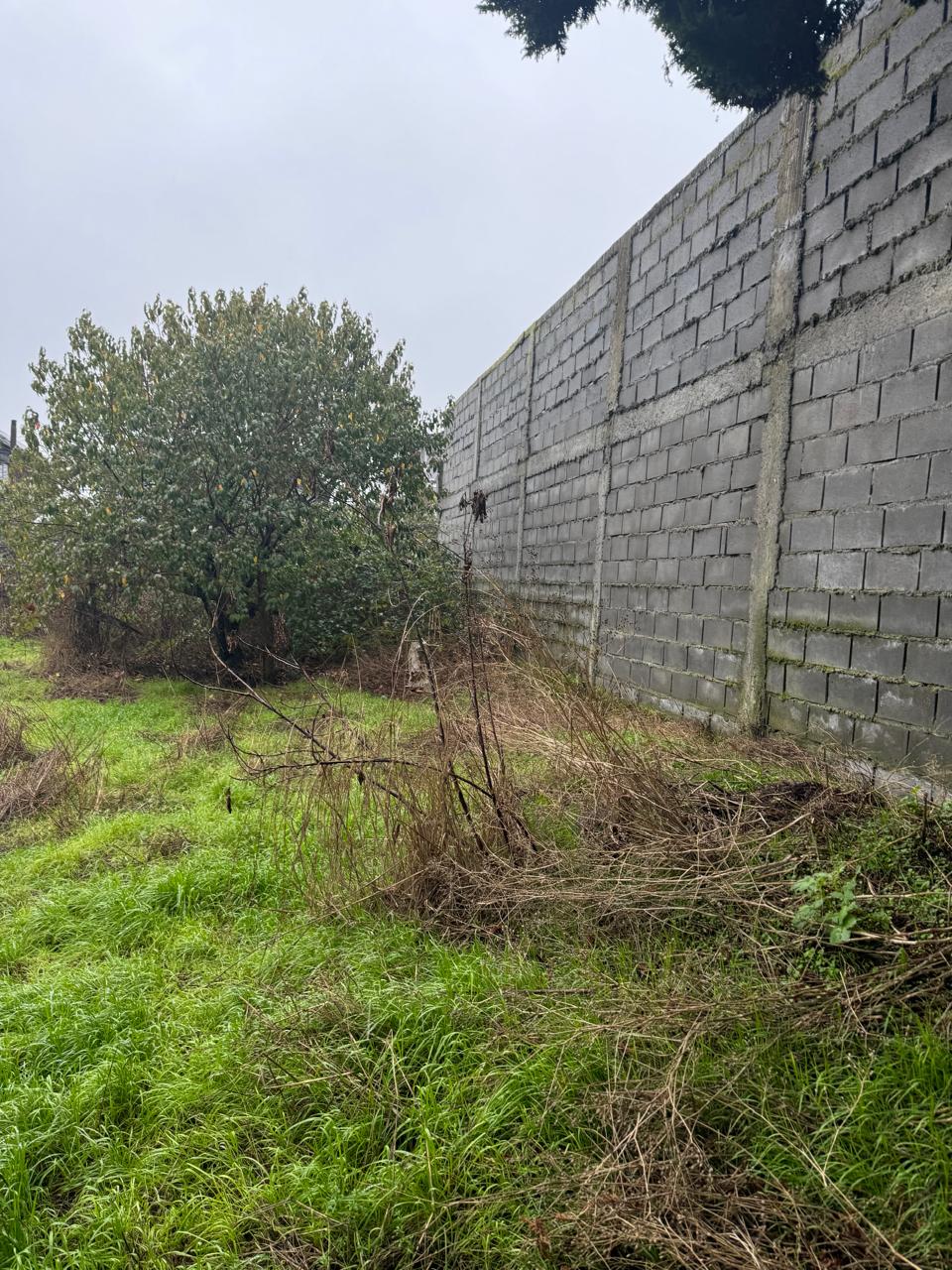 Casa en venta en Los Muermos — foto 4